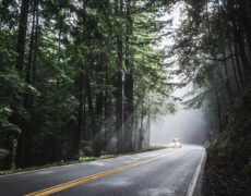 Descubre Amiens en coche: Alquiler de coches en Francia
