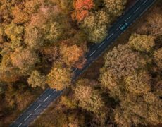 Descubre los mejores coches de alquiler en Baiona, Pontevedra
