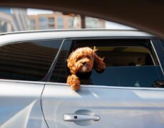 Descubre Moscú con nuestros coches de alquiler en Rusia