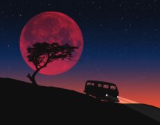 Descubre Tallin en coche: Alquiler de coches en Estonia